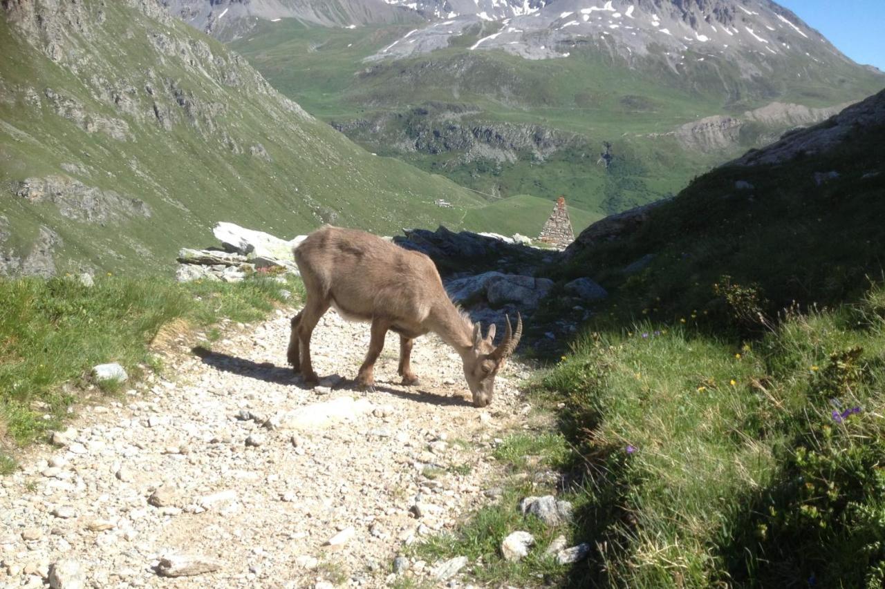 Vacation Rental - Pralognan La Vanoise Savoie Экстерьер фото